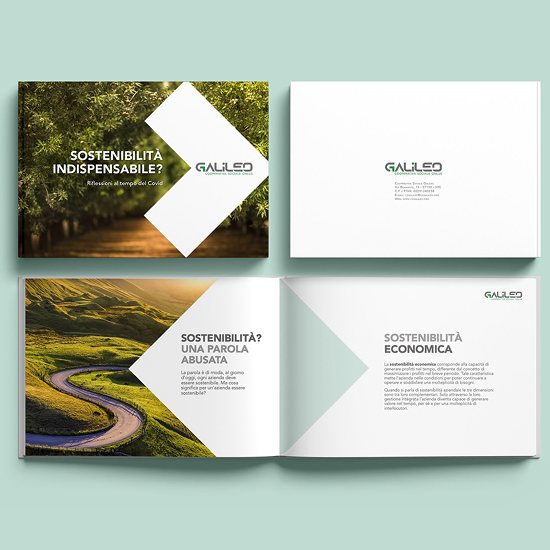 annakkiara_portfolio_graphic_design_dardo2.jpg